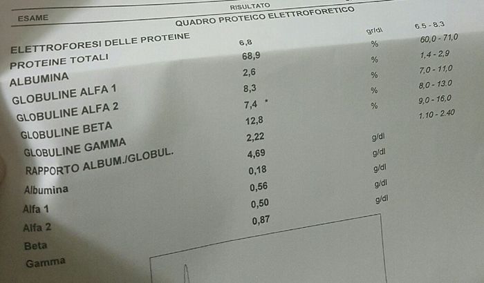 Preoccupata per le analisi... - 1