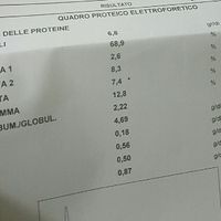 Preoccupata per le analisi... - 1