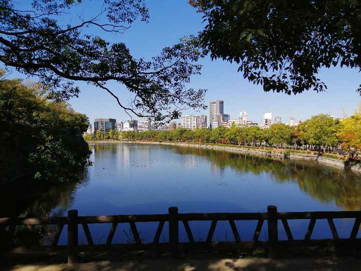 Viaggio quasi finito - 1