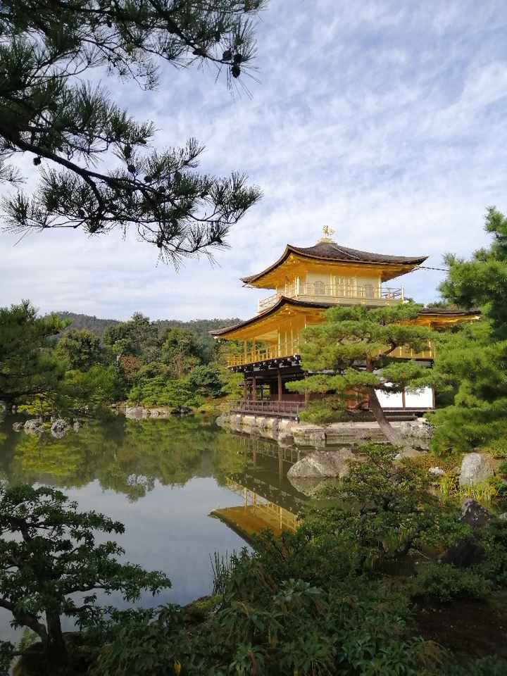 Viaggio quasi finito - 4