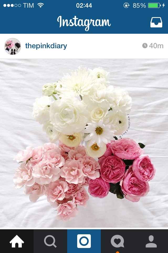 Come si chiamano questi fiori? - 1