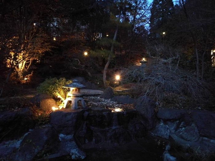 Giardino Giapponese nottura