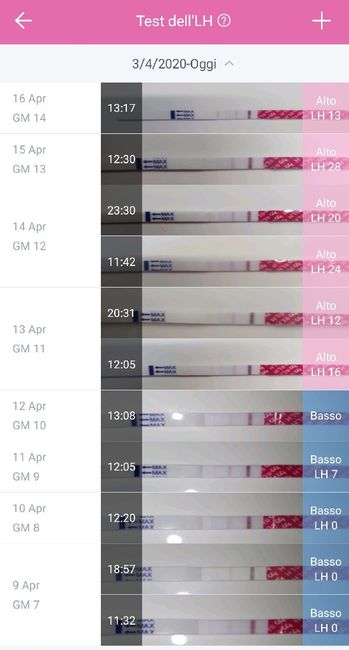 Chi non le aspetta per Maggio 2020 - 1