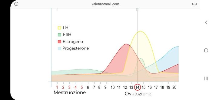 Dossaggi ormonali - 2