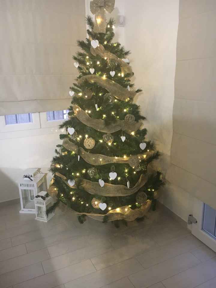 Scegliere l'albero di natale - 1