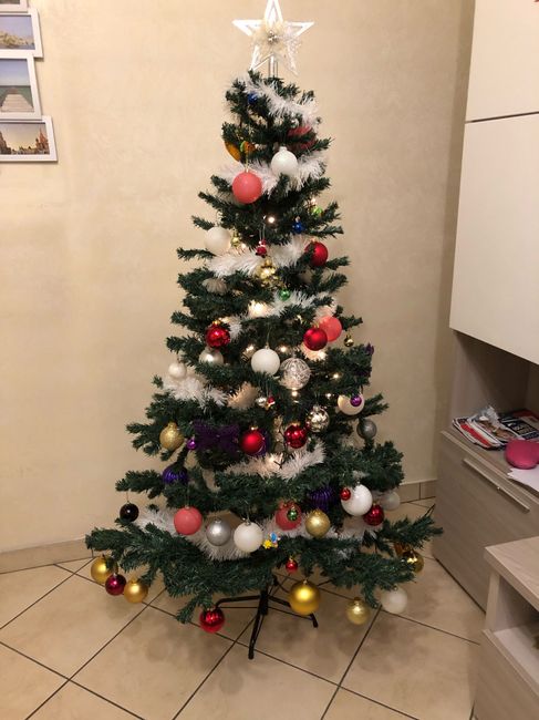 Fatto anche l'albero di Natale! - 1