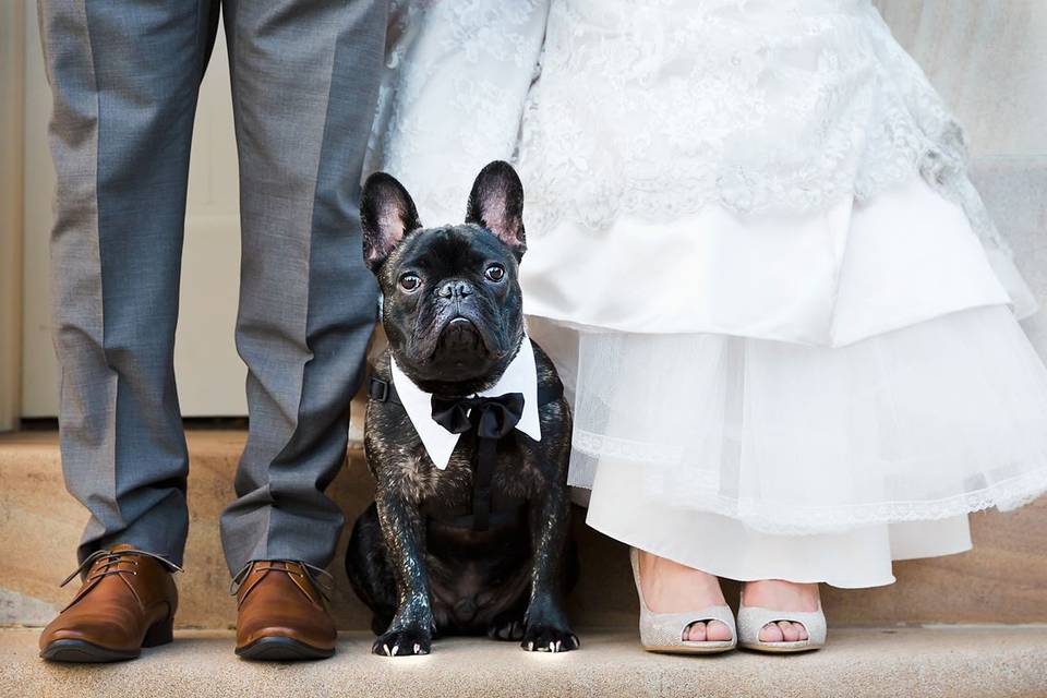 Matrimonio Bulldog