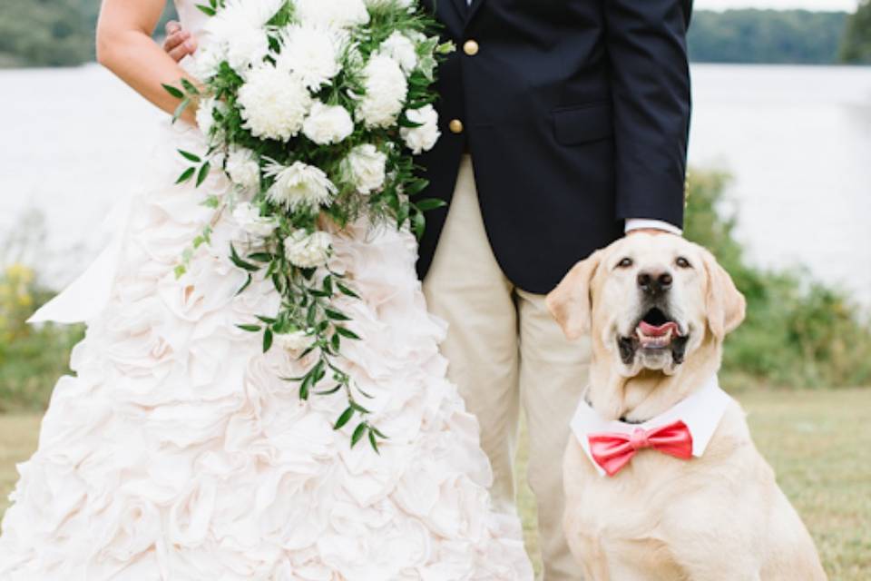 Matrimonio labrador