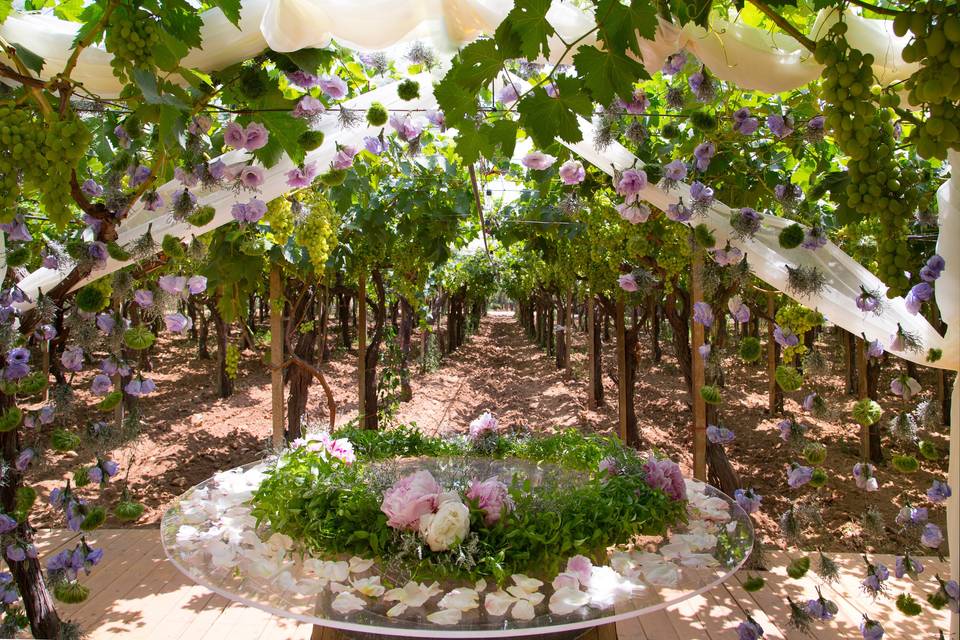 Matrimonio sotto i Vigneti