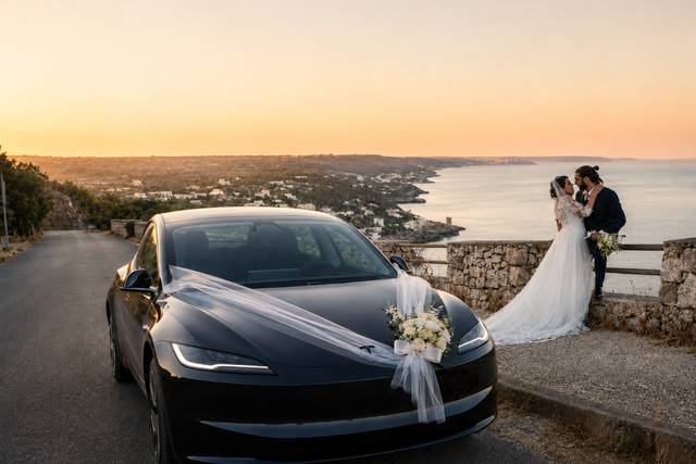 Maxi Exclusive Tesla