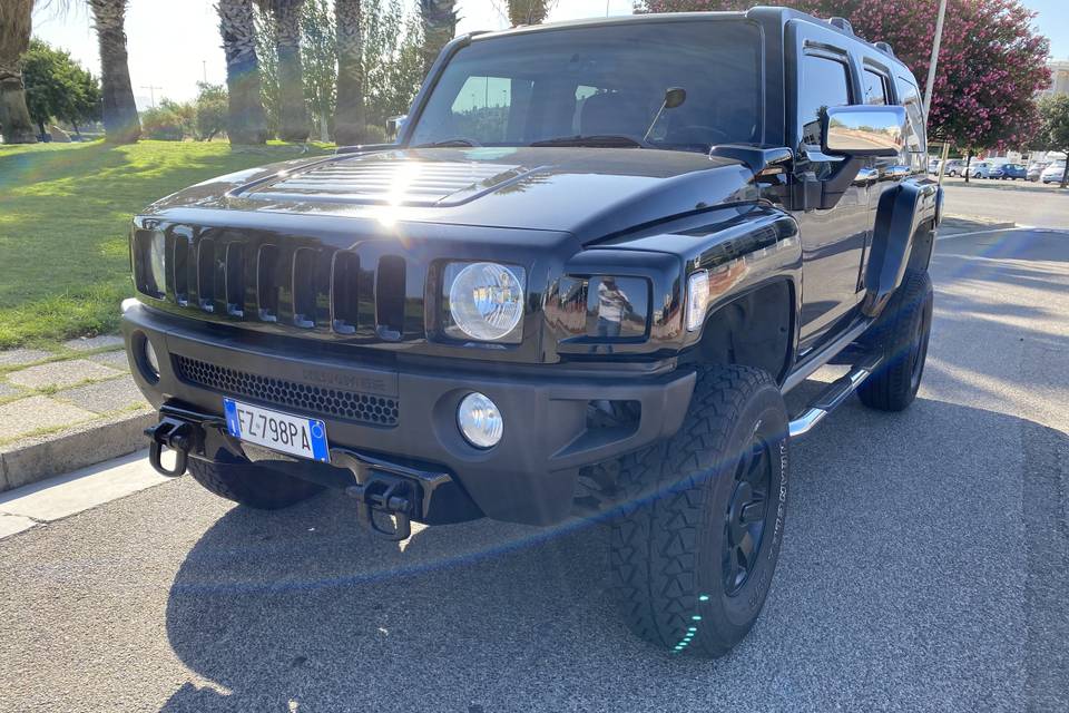 Hummer