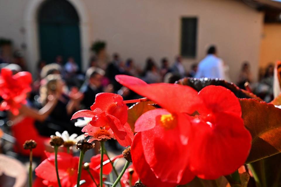 Cerimonia Civile a Gallano