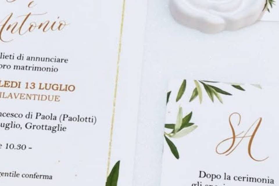 Partecipazione tema ulivo