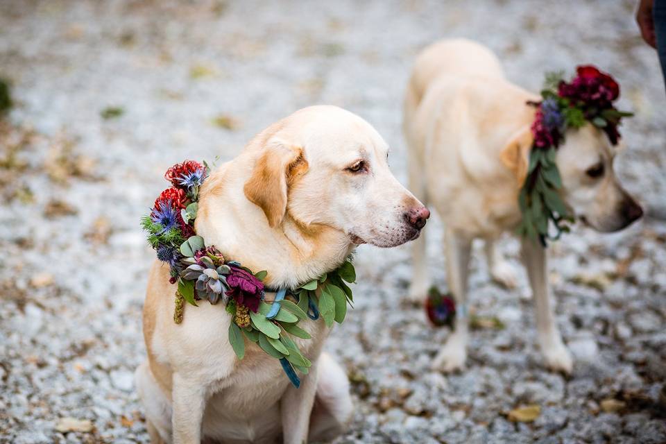 Claudia Ronchi Wedding Photography