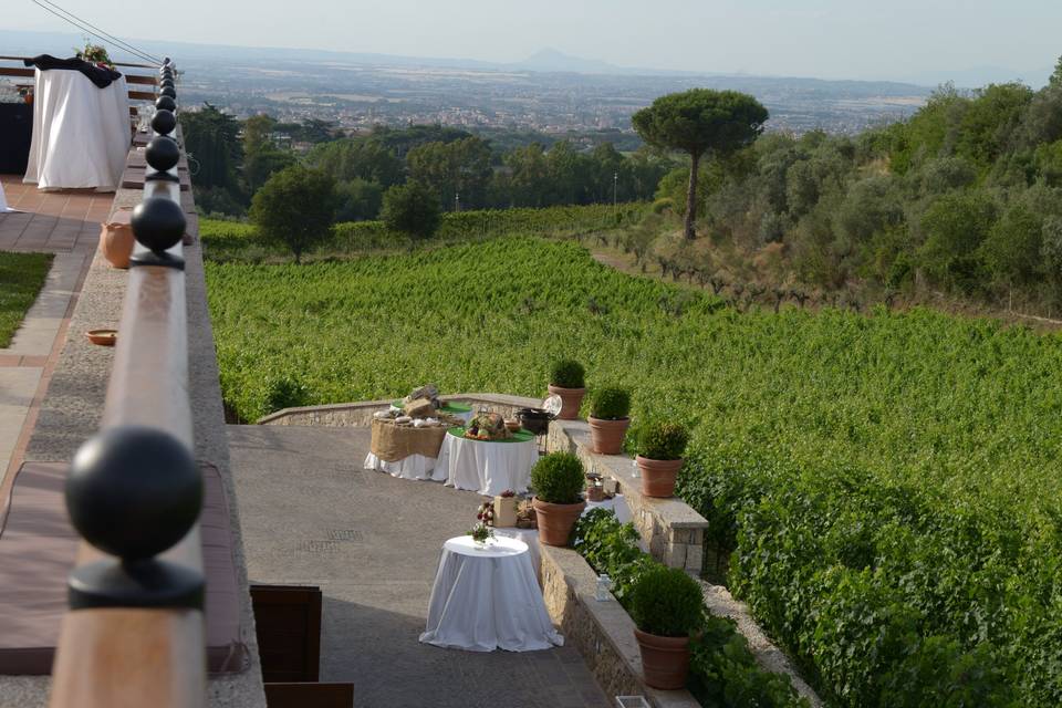 Matrimonio tra i vigneti