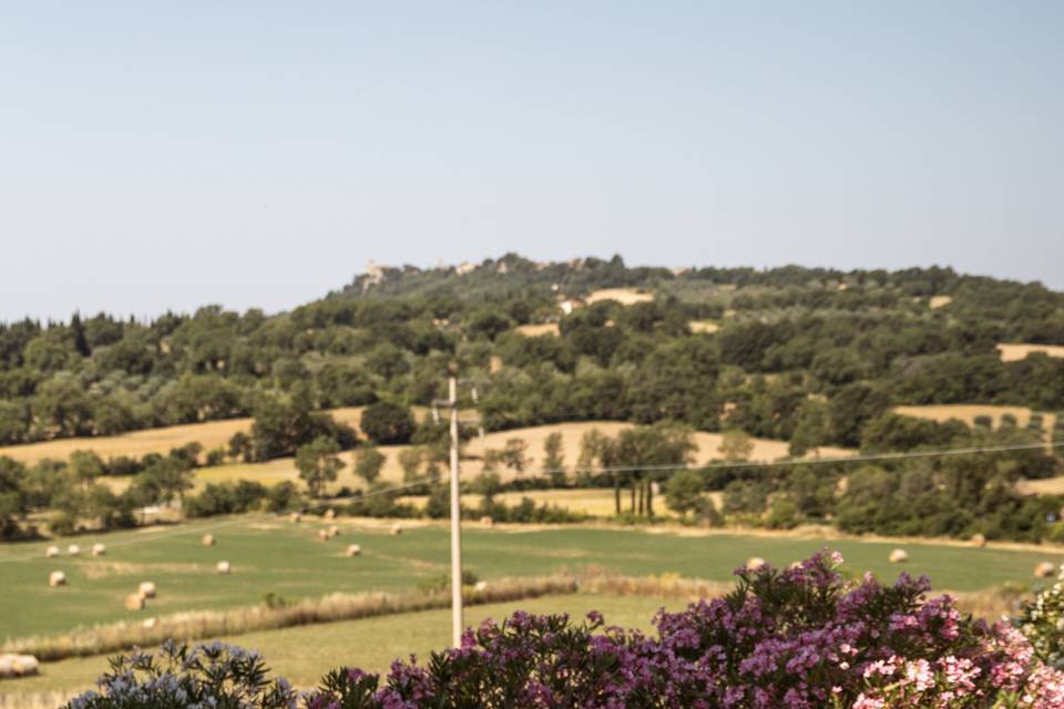 Vista