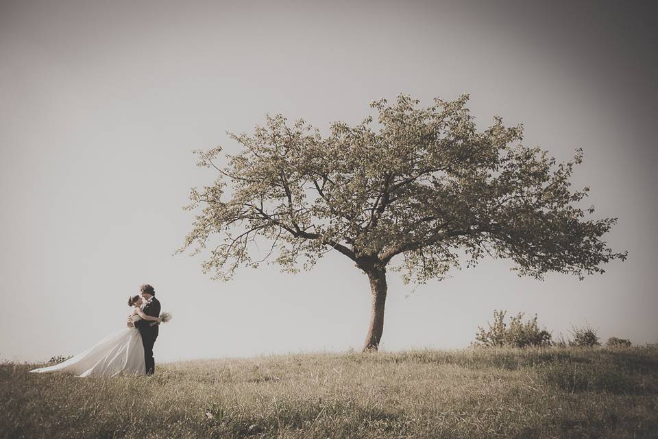 FotoGrafie di Luca Sacchetto