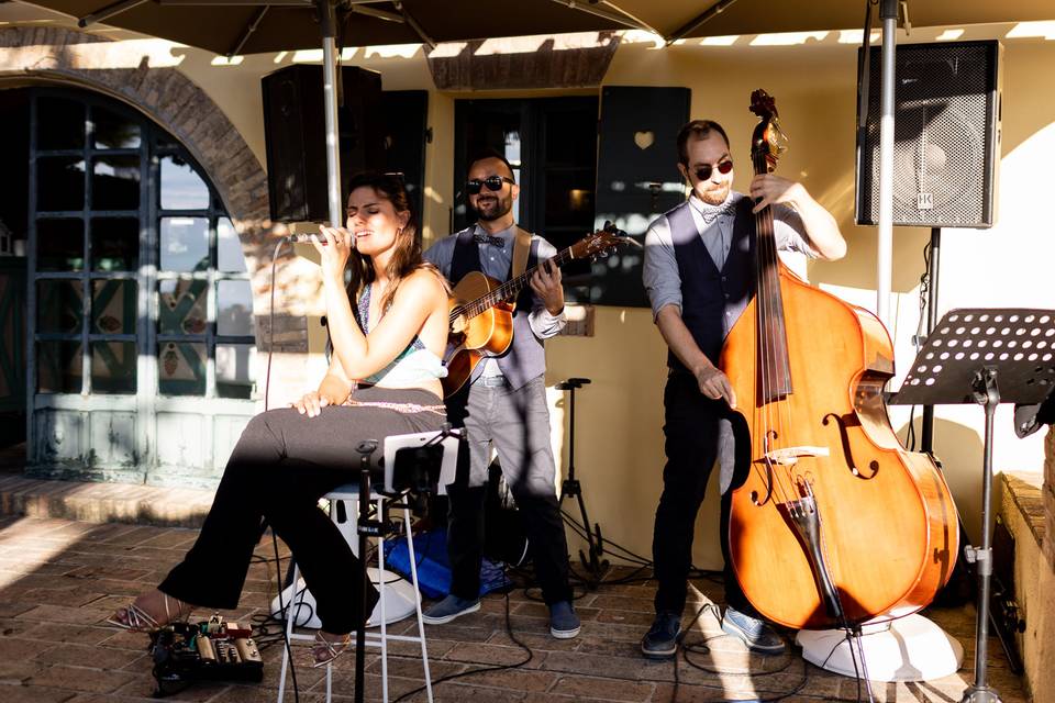 Beauty & the Beasts - Acoustic Trio