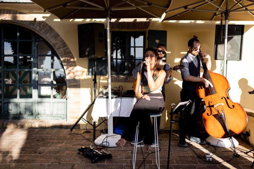 Beauty & the Beasts - Acoustic Trio