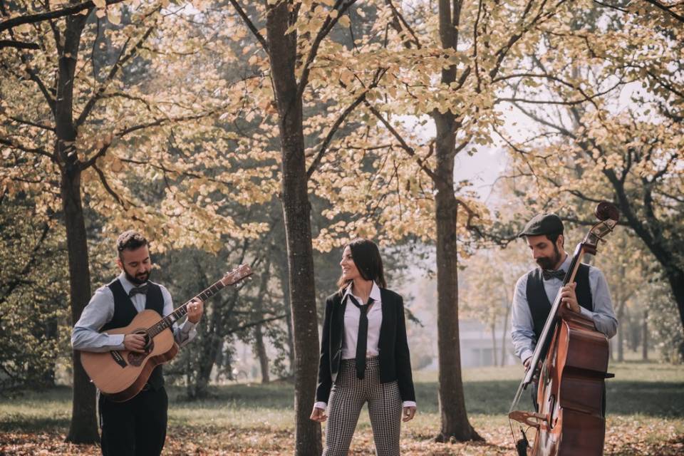 Beauty & the Beasts - Acoustic Trio
