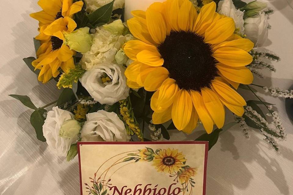 Girasoli