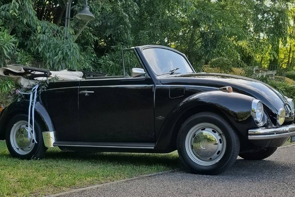 Cabrio