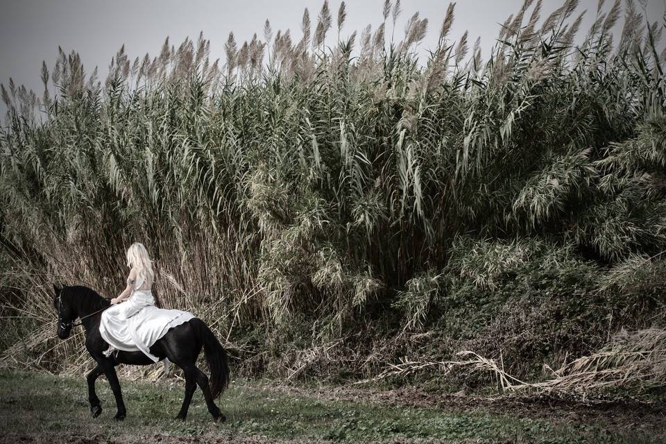 Flavio Carnevale Photographer