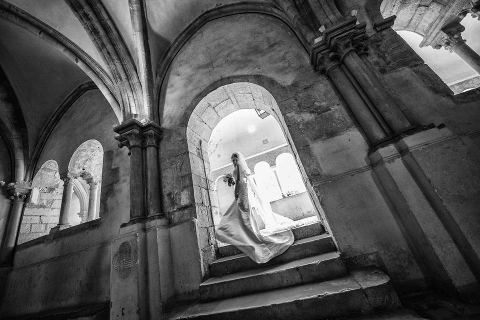 Flavio Carnevale Photographer
