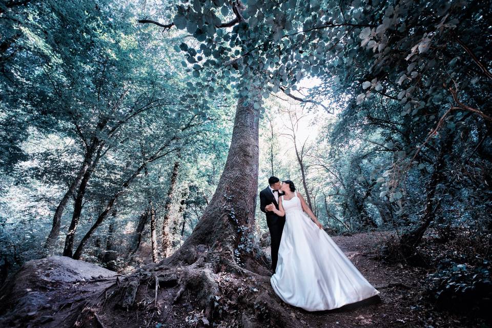 Flavio Carnevale Photographer