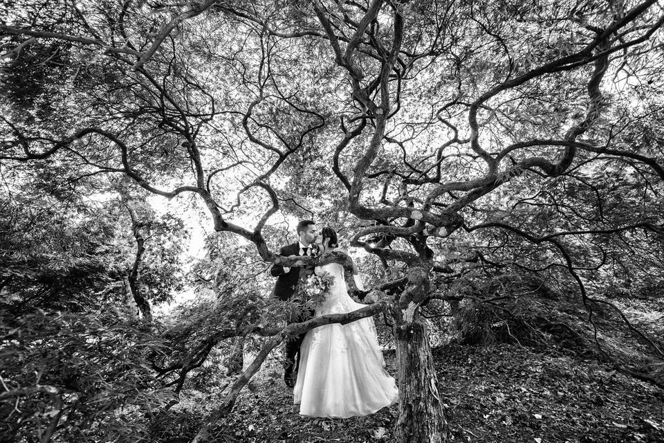 Flavio Carnevale Photographer