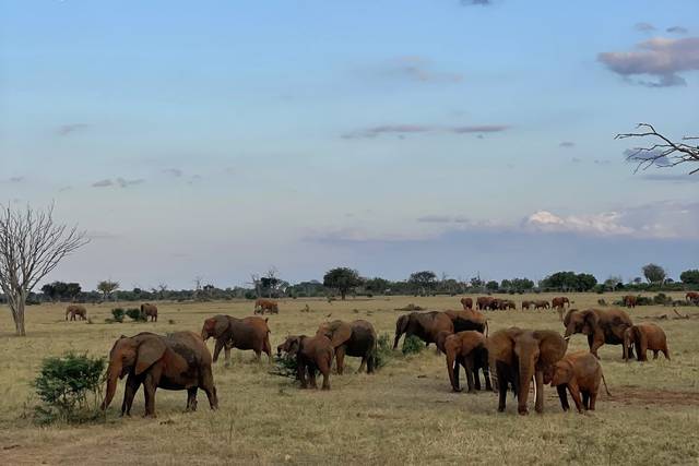Tramonto Parco Amboseli Kenya