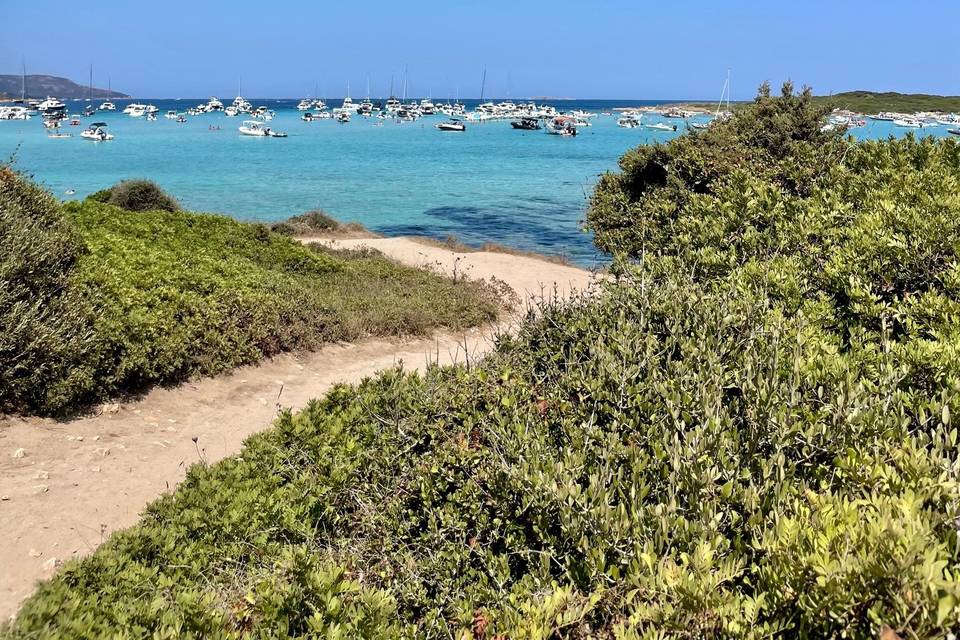 Corsica