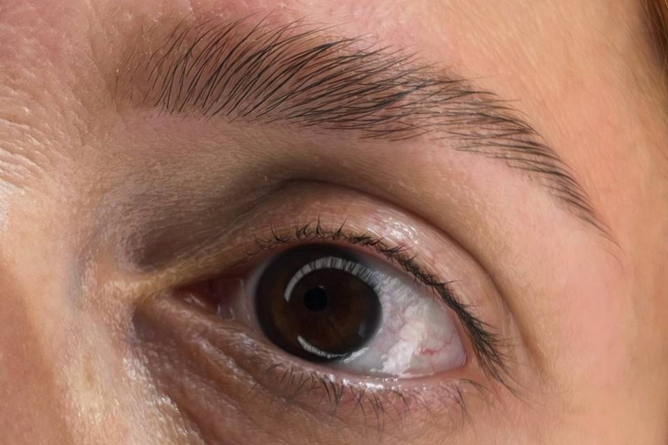 Eyebrows