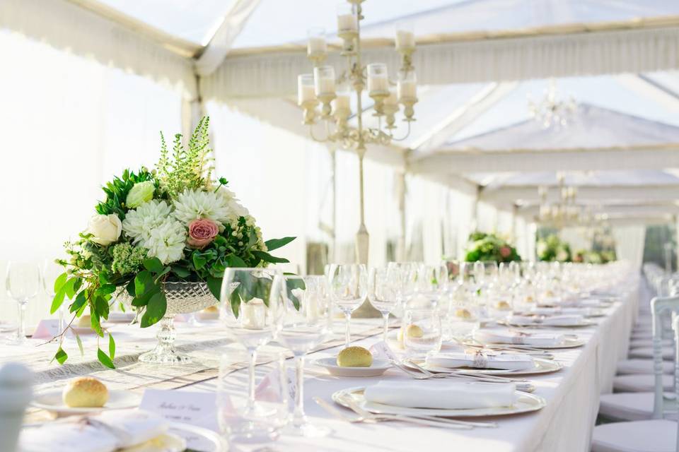 Elena Casagni Events