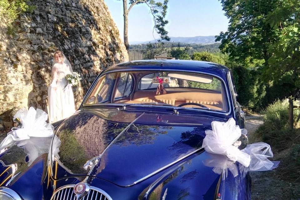 Jaguar wedding