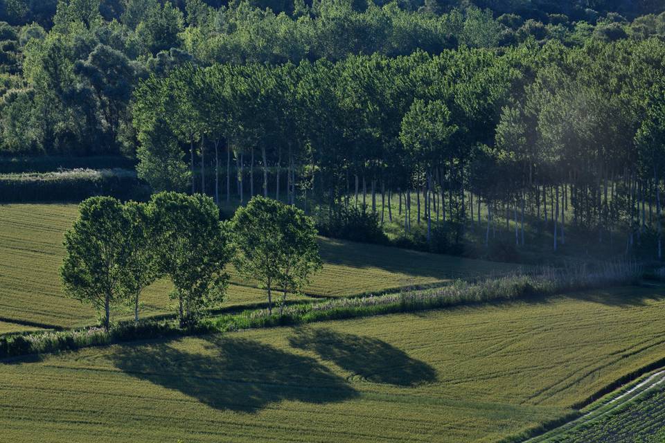 Vista dalla proprietà