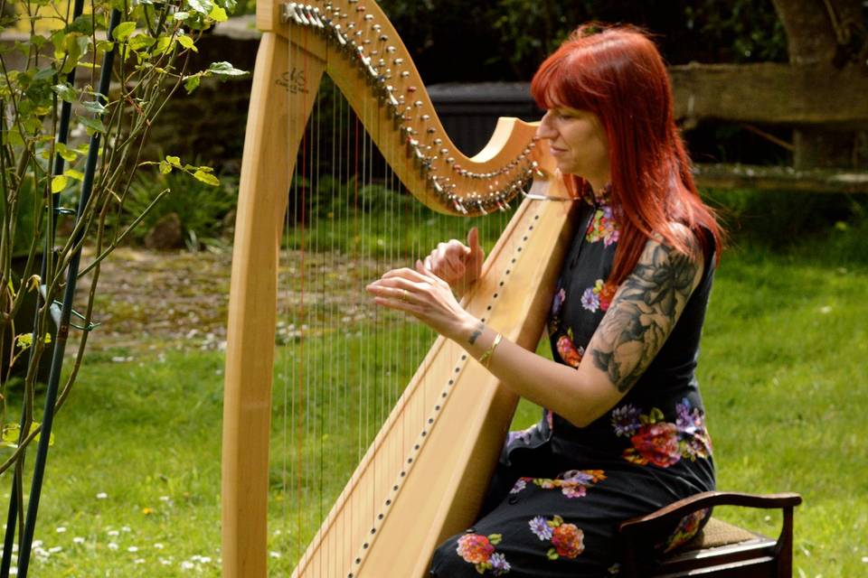Arpa celtica