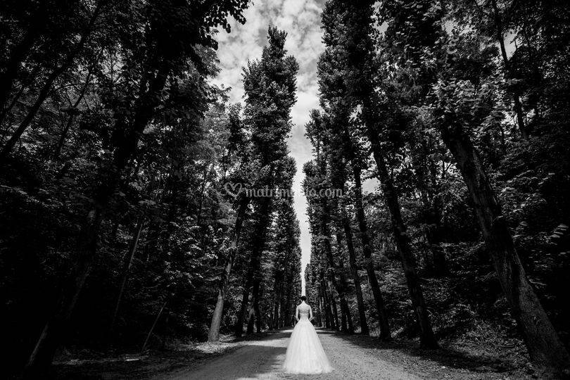 Wedding moments