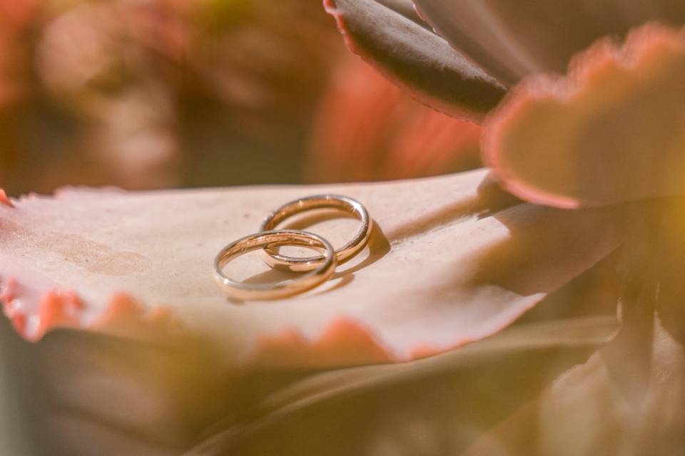 Wedding moments