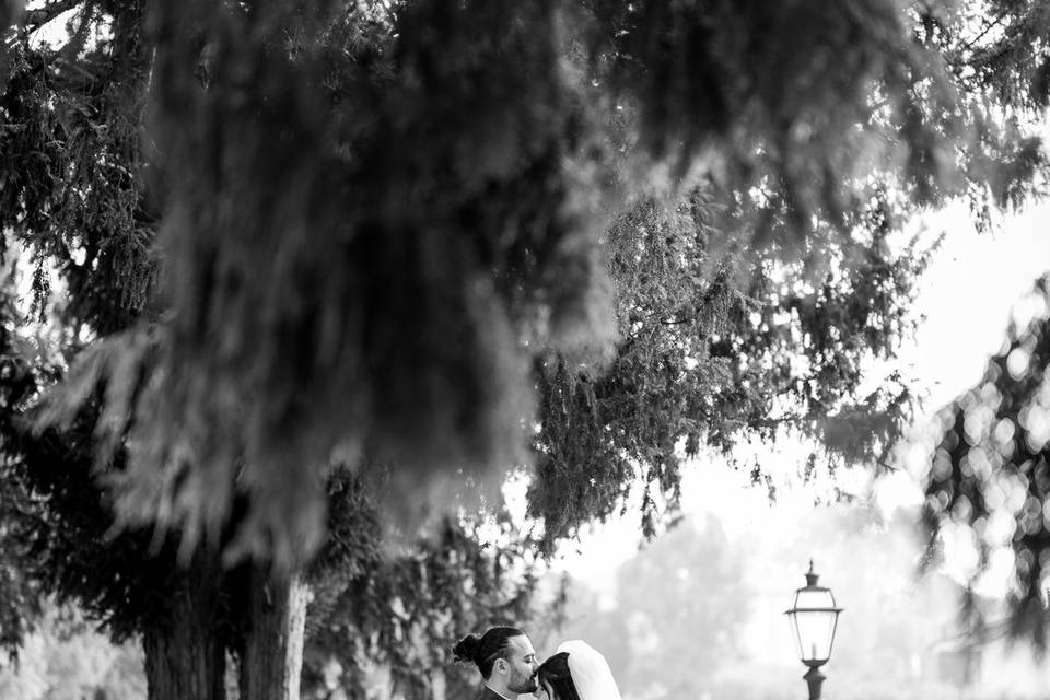 Wedding moments
