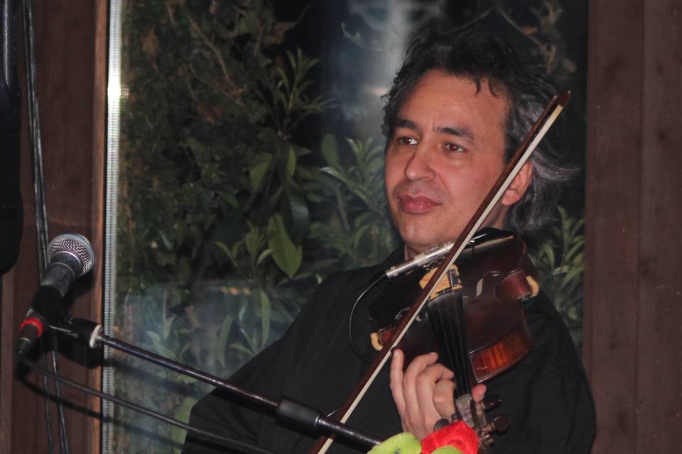 Tony Raffaele Violinista Cantante