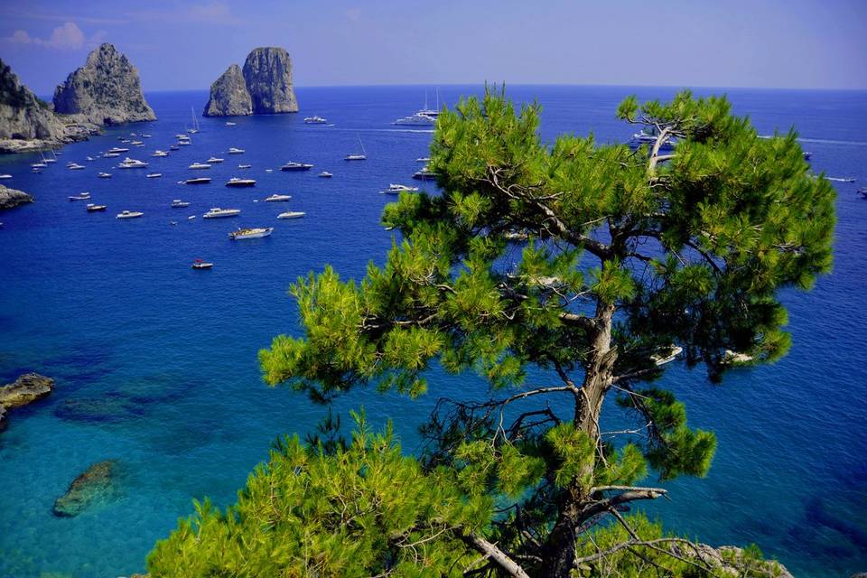 Isola di capri