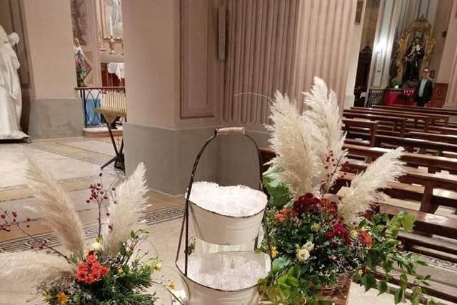La ginestra di Francy
