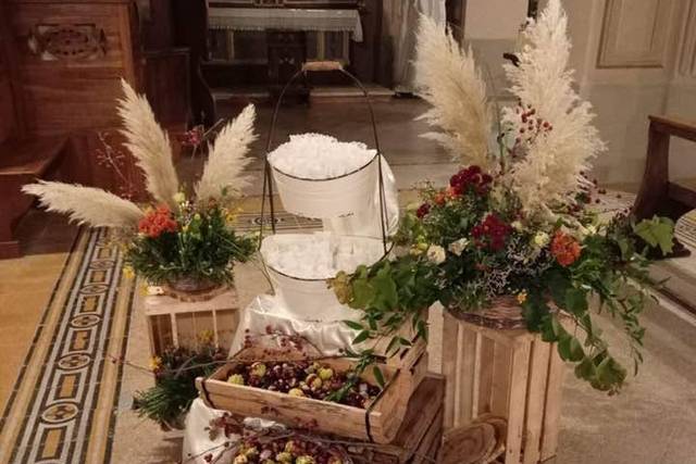 La ginestra di Francy