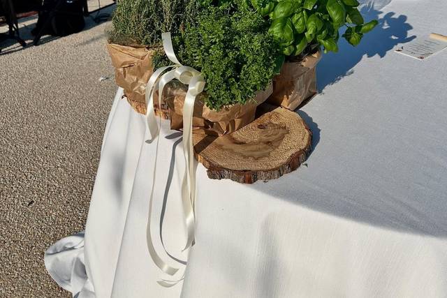 La ginestra di Francy
