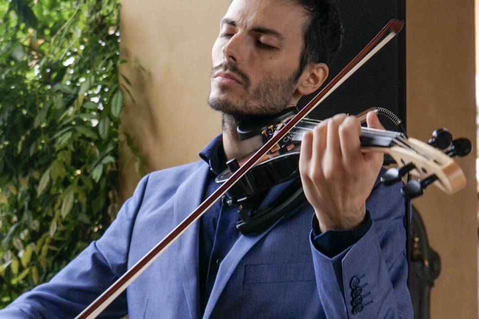 Violino