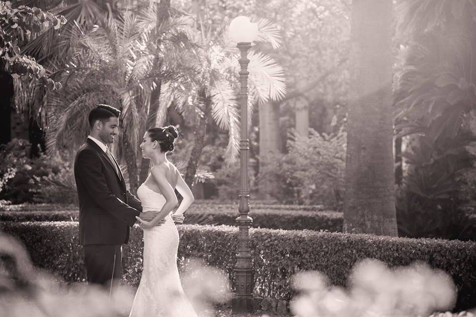 Wedding
