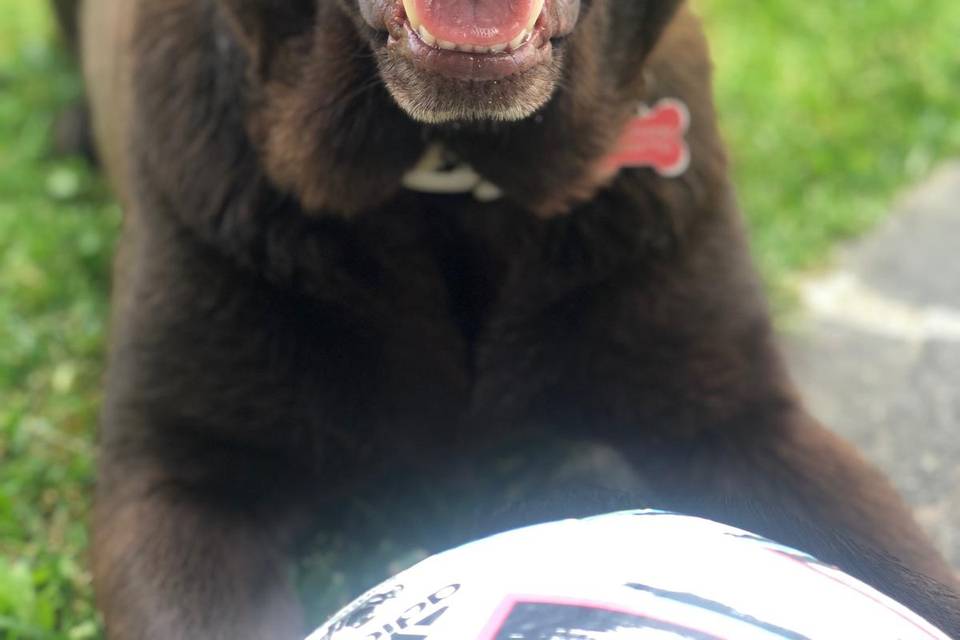 Connie