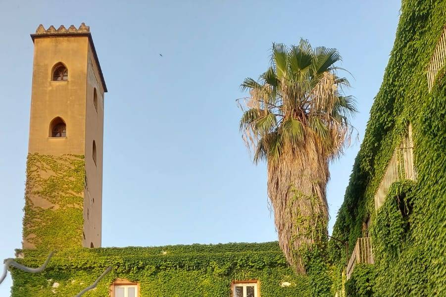 Giardino Verticale