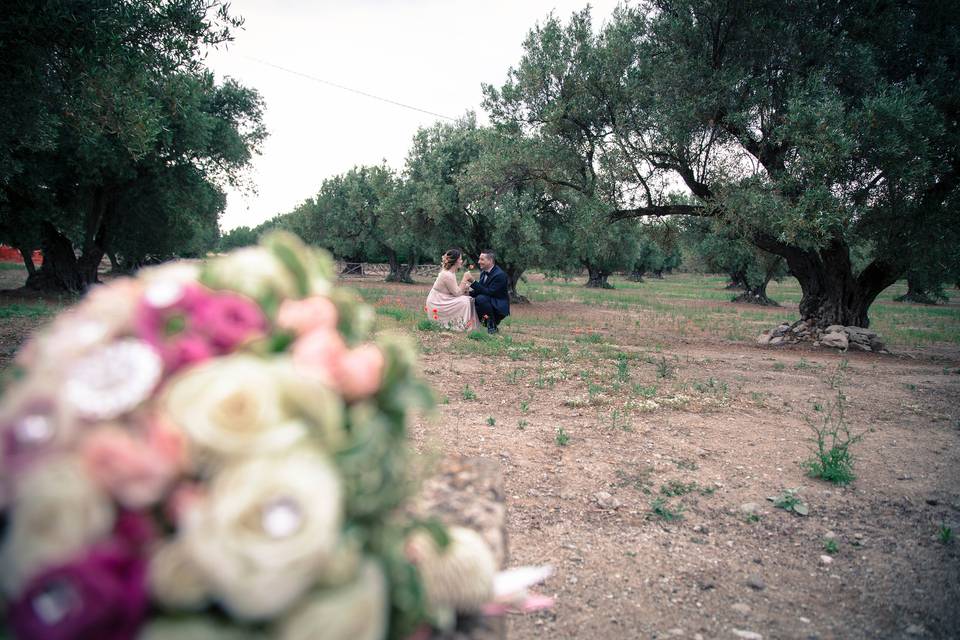 Alessio Gualtieri Fotografo